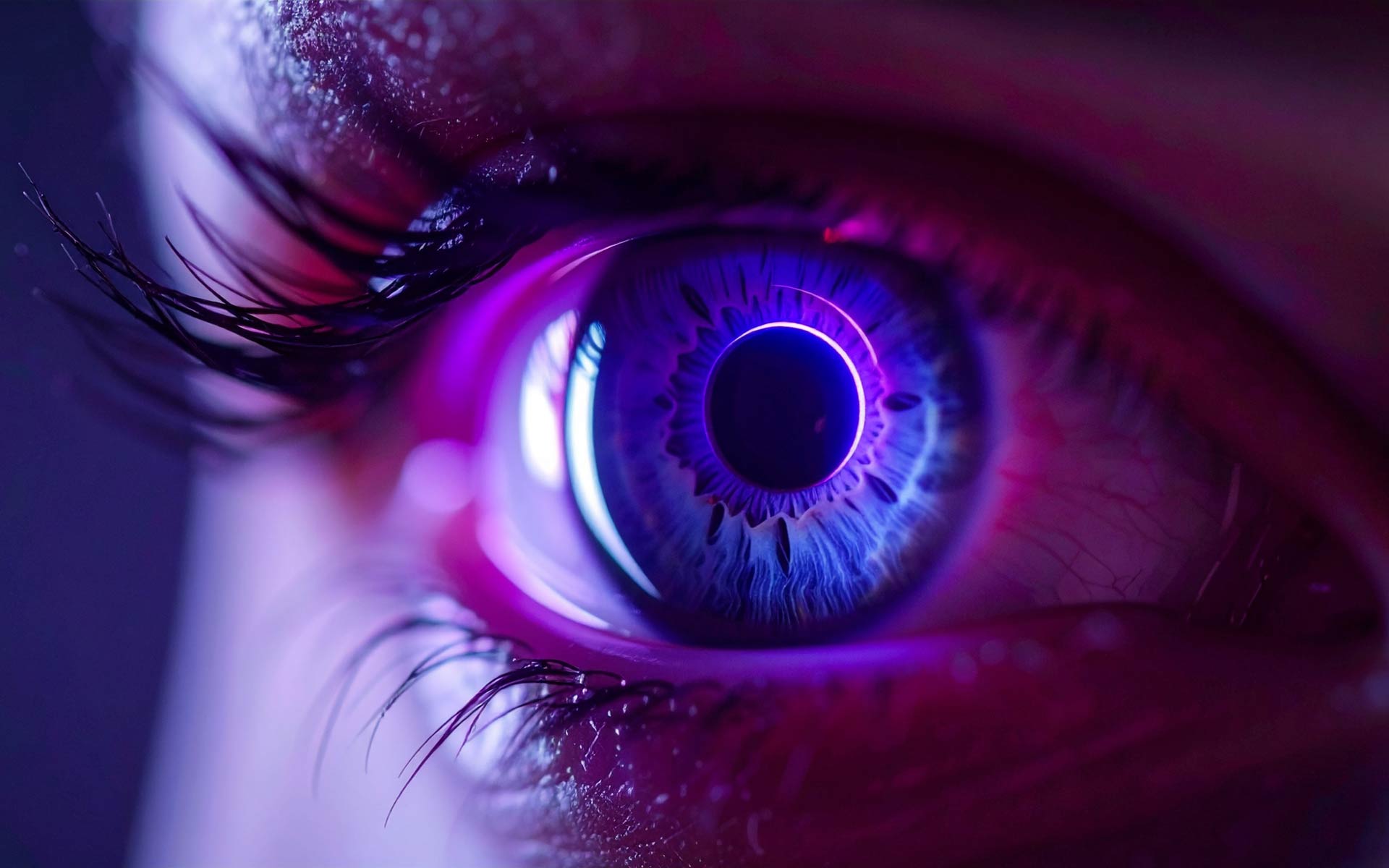 Obsigen vision model — image understanding